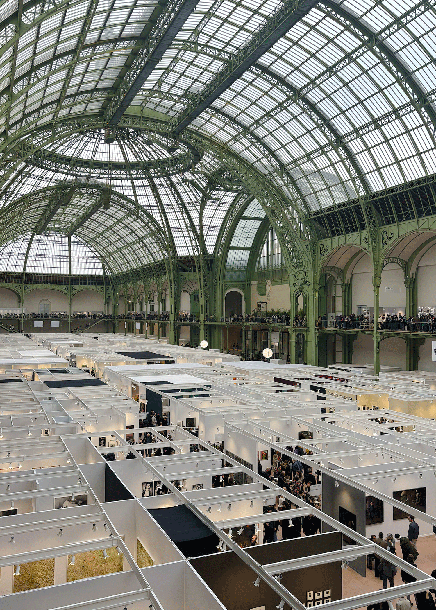 Under Steel & Glass: Paris Photo’s Triumphant Return to Grand Palais