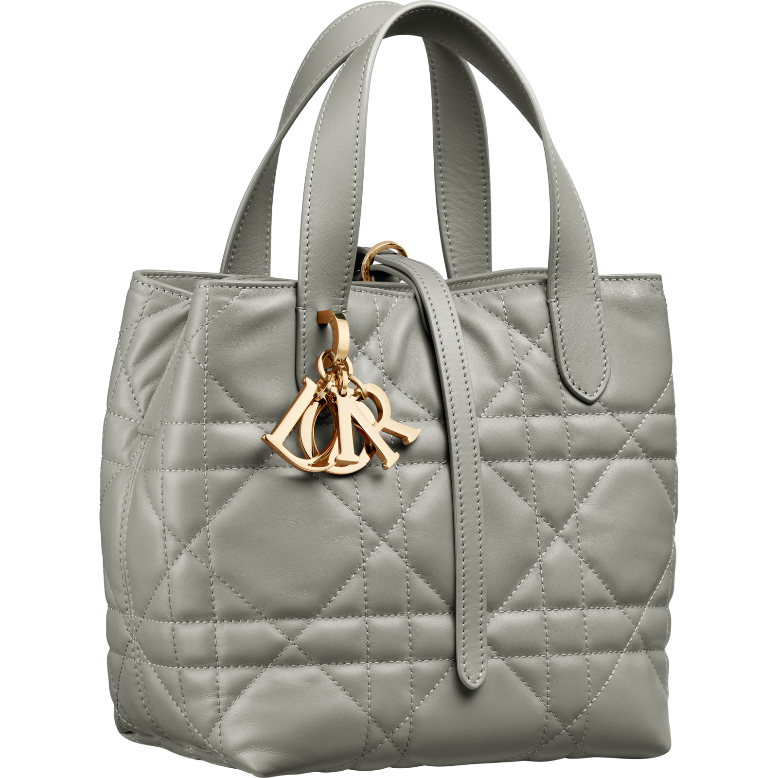 Dior Small Toujours bag Dior grey stone